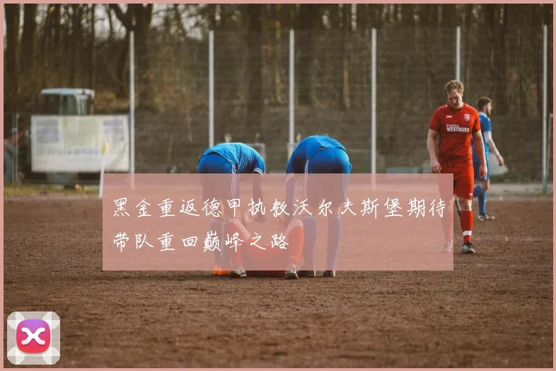 黑金重返德甲执教沃尔夫斯堡期待带队重回巅峰之路