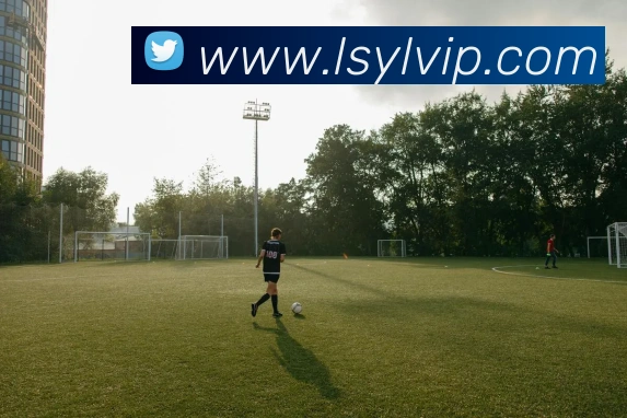 韦德谈伟大与争议：勒布朗的成就引发的质疑与挑战